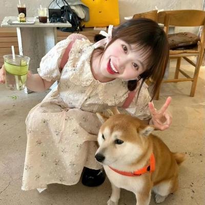 鸭都三兄弟